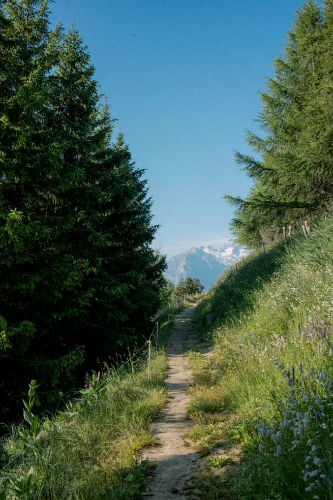 Path through green hills, across the energy, mobility, and operations systems we engineer