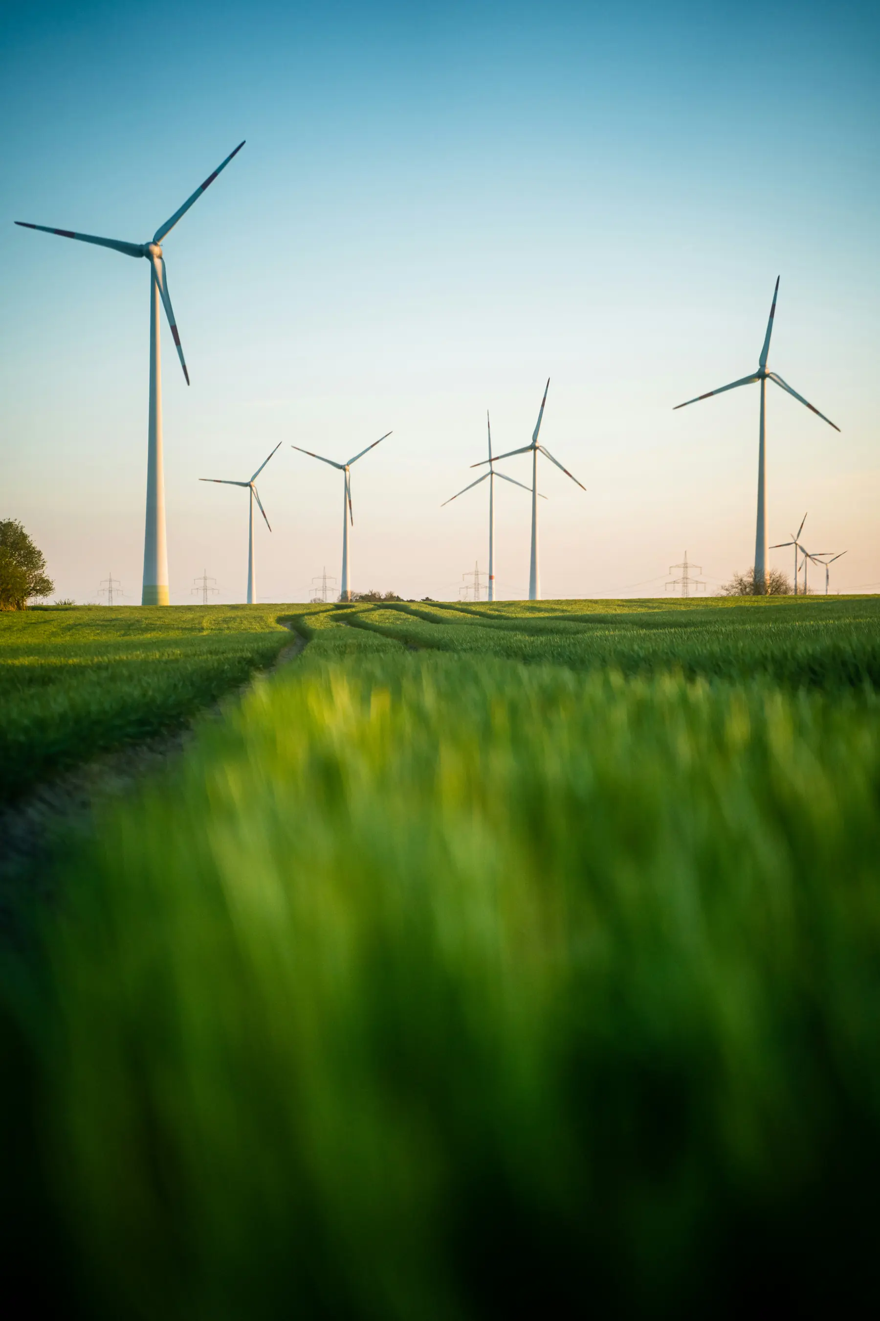 Wind turbines in a green field at sunset, for custom software development in energy and mobility